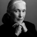 Dr Jane Goodall
